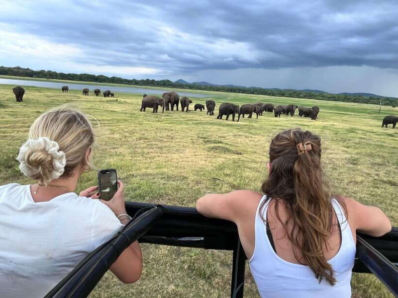 kaudulla-national-park-private-safari