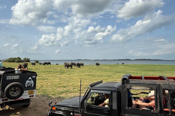 Kaudulla National Park Safari [Morning /Evening] - The Sum Up