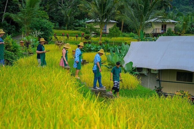 Kaura: Cooking Class & Choose Optional Tour with Private Transfer - Detailed Breakdown of the Tour