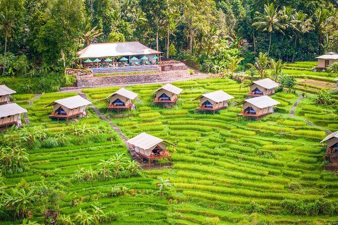 Kaura Pool and Dine Choose Optional Tour with Private Transfer - Key Points