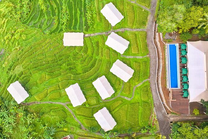 Kaura Pool and Dine Choose Optional Tour with Private Transfer - The Sum Up