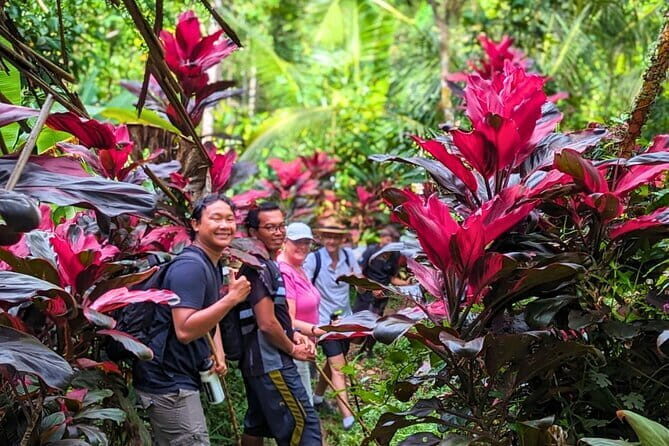 Kaura Waterfall Hike & Choose Optional Tour with Private Transfer - The Route and What to Expect