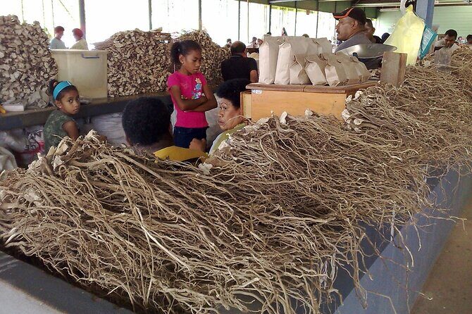 Kava Factory Tour and Flavored Kava Tasting Experience - Key Points