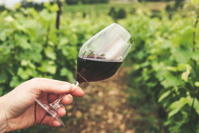 Kavala: VinoTour - Wineries Private Tour - What Makes the Kavala VinoTour Stand Out
