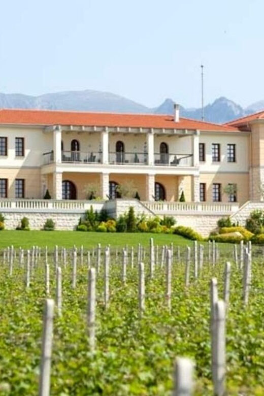 Kavala: VinoTour - Wineries Private Tour - Final Thoughts: Is It Worth It?