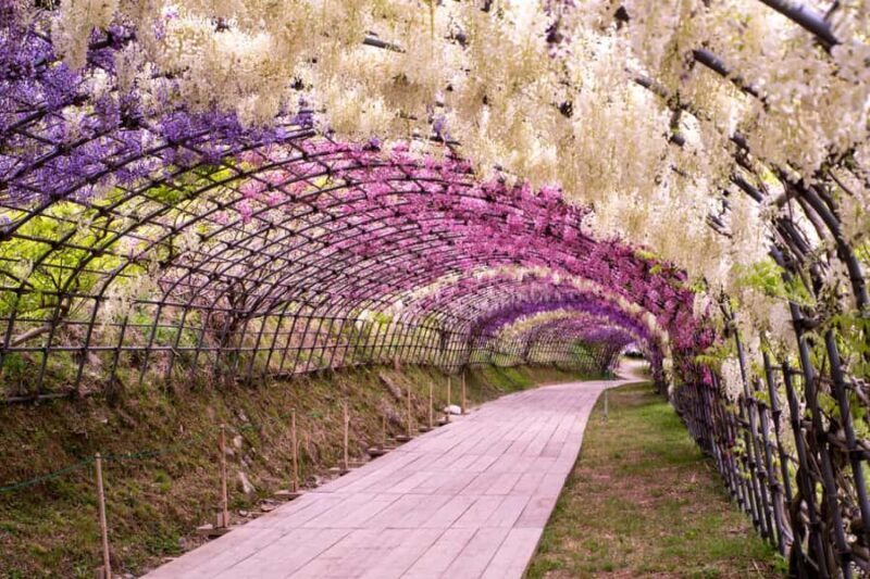 Kawachi Wisteria Garden, Kokura Castle & Outlets Day Tour - A Peek into Kokura Castle