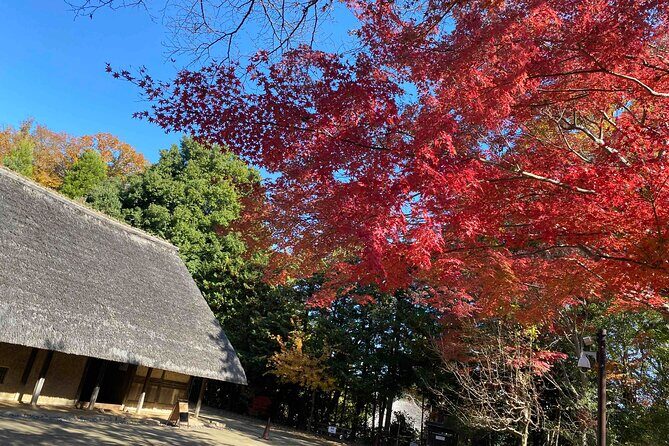 Kawasaki Nihon Minkaen Adventure Tour - Who Will Love This Tour?