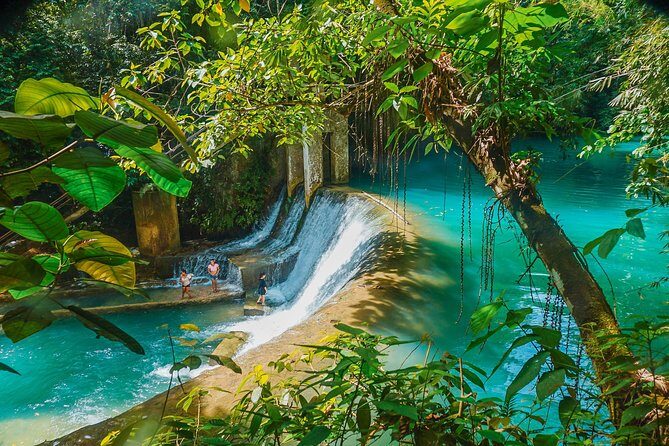 Kawasan Canyoneering, Kawasan Falls and Whaleshark Encounter - Key Points