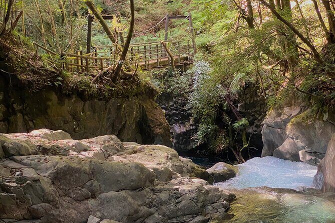 Kawazu Seven Falls Guided Tour - Who Will Love This Tour?