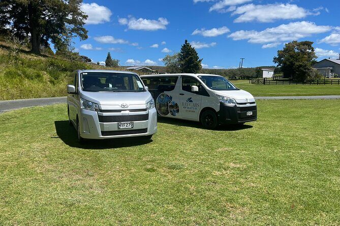 Kawiti Family Glowworm Caves Guided Tour in Bay of Islands - The Authentic Charm of the Kawiti Family Glowworm Caves