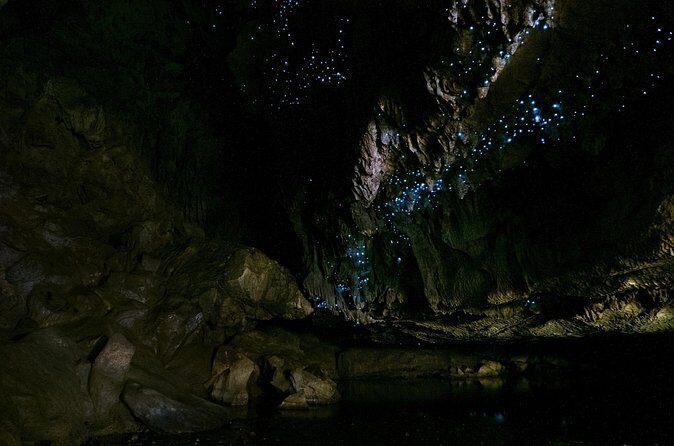 Kawiti Family Glowworm Caves Guided Tour in Bay of Islands - Pros and Cons at a Glance