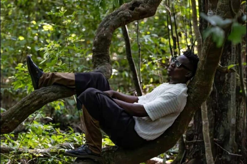 Kaya Kinondo Sacred Forest Guided Tour - The Sum Up: Why Choose the Kaya Kinondo Sacred Forest Tour?