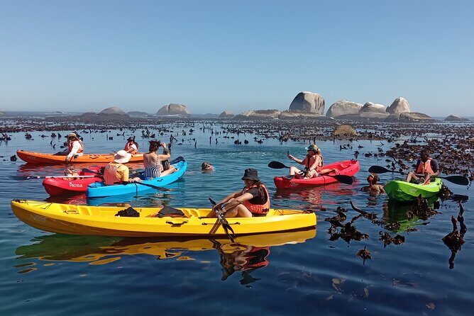 Kayak Adventure at Clifton Beach - FAQs