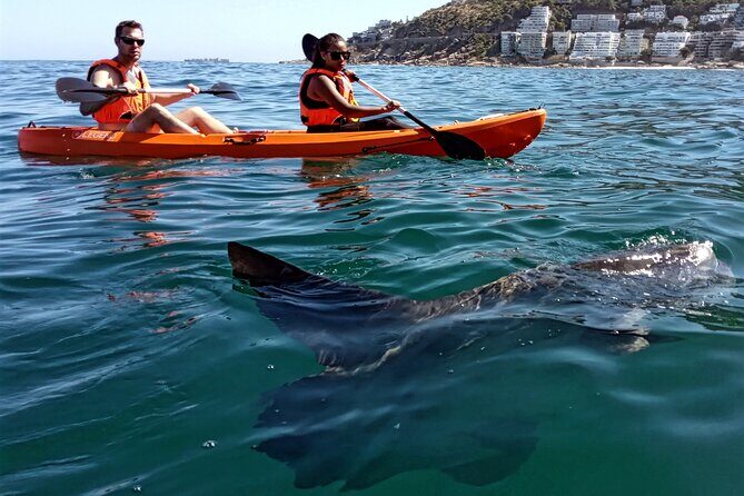 Kayak Adventure at Clifton Beach - Final Thoughts