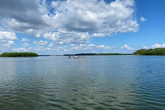 kayak-adventure-at-shell-key-preserve-in-tierra-verde