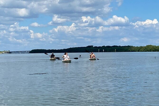 kayak-adventure-at-shell-key-preserve-in-tierra-verde