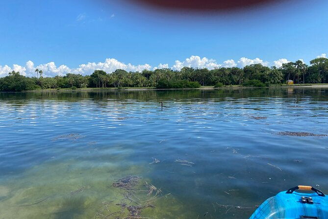 kayak-adventure-at-shell-key-preserve-in-tierra-verde