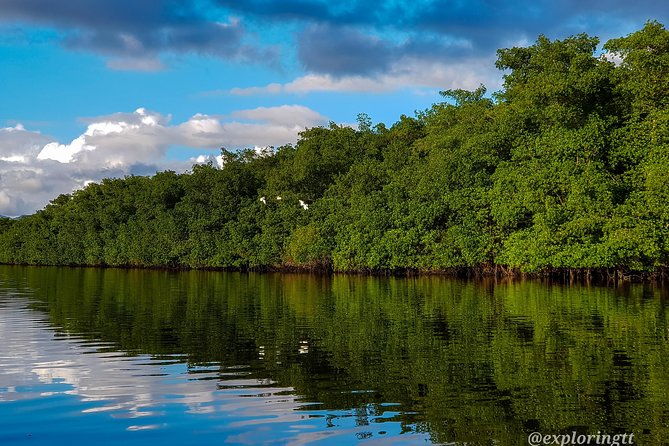 kayak-adventure-in-the-second-largest-swamp-of-trinidad-and-tobago