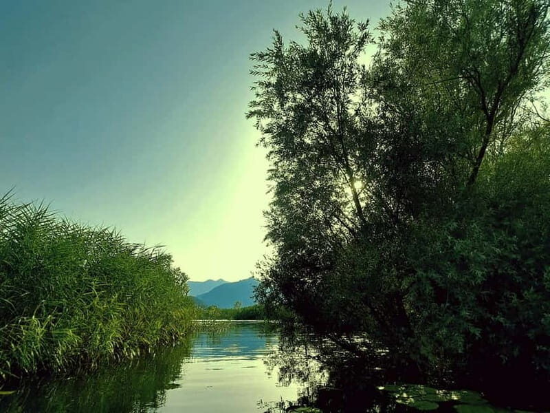 Kayak Adventure: Paddle your way through Lake Skadar - Exploring Lake Skadar by Kayak: What You Can Expect