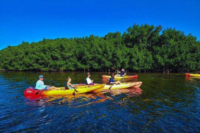 kayak-and-paddleboard-rentals-at-siesta-key