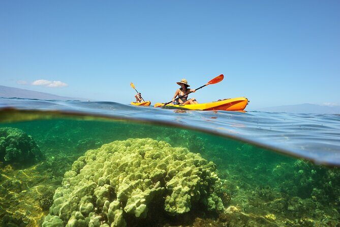 Kayak and Snorkel: Maui West Shore - Discovering Maui’s West Shore: A Detailed Look