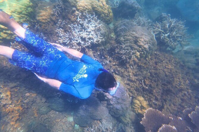 Kayak and Snorkel Tour Half Day - Setting the Scene: What the Tour Offers