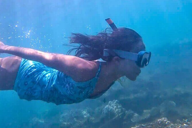 Kayak and Snorkel Tour Half Day - The Experience: What Travelers Can Expect