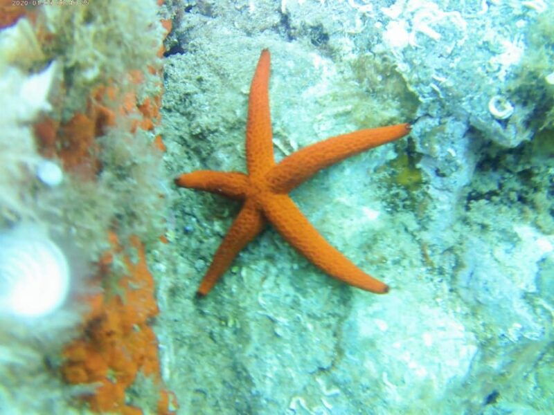 kayak-and-snorkel-tour-platja-daro