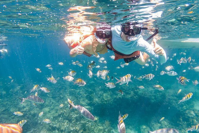 kayak-and-snorkeling-adventures-in-west-end
