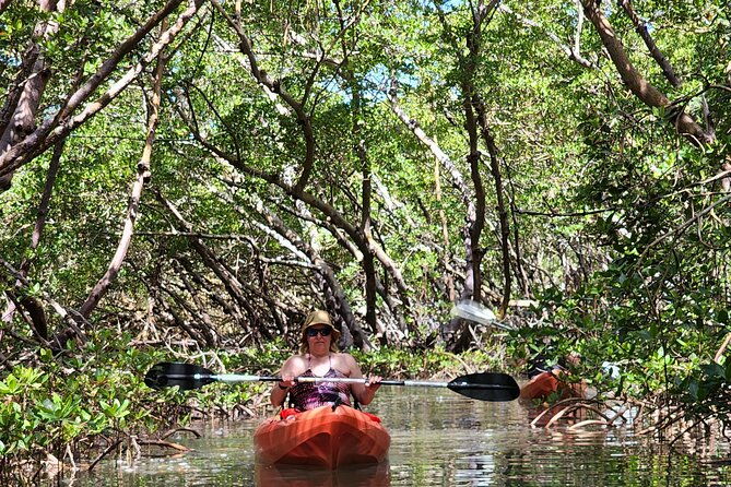 kayak-and-sup-rentals-big-hickory-island-fort-myers-beach-fl-2