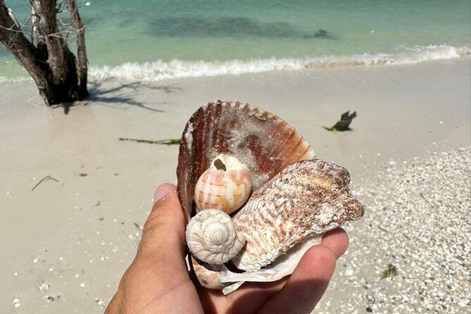 kayak-and-sup-rentals-big-hickory-island-fort-myers-beach-fl-2