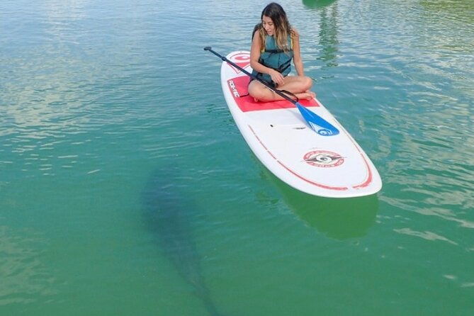 kayak-and-sup-rentals-big-hickory-island-fort-myers-beach-fl