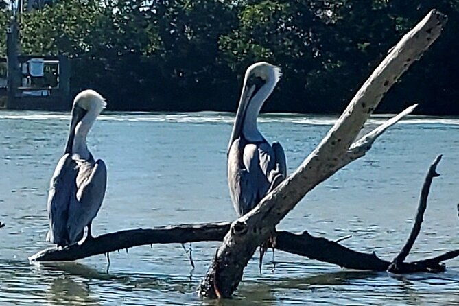kayak-and-sup-rentals-big-hickory-island-fort-myers-beach-fl