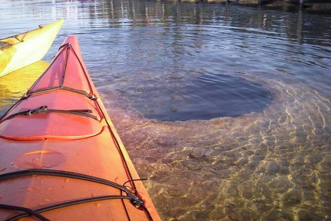 Kayak Day Paddle on Yellowstone Lake - What to Expect from the Yellowstone Lake Kayak Tour