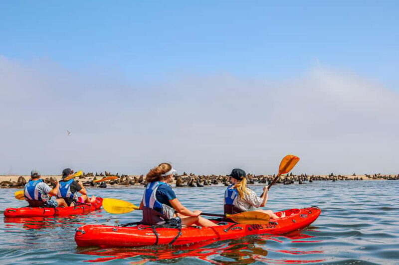 Kayak Dune Day - Who Is This Tour Best Suited For?