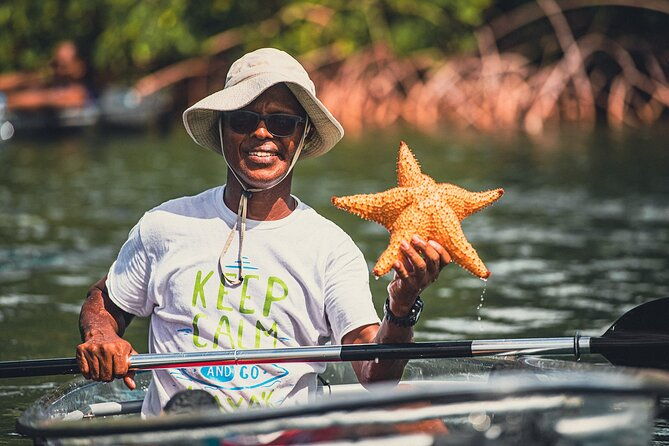 kayak-eco-adventures-glass-kayak-nature-and-snorkeling-tour