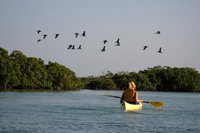 kayak-eco-tour