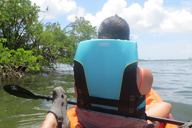 kayak-eco-tourism-in-miami-bay