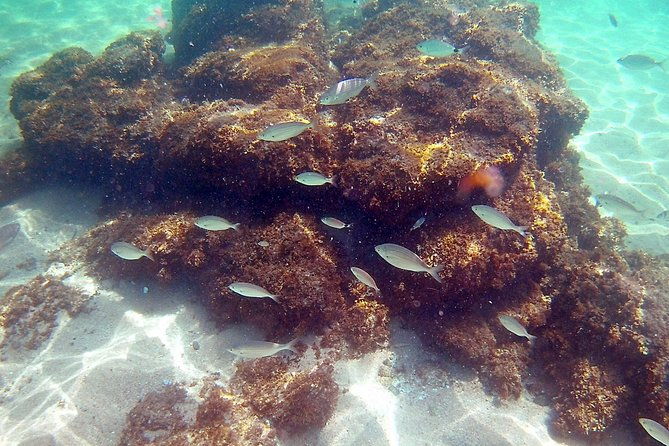 kayak-excursion-in-playa-de-aro