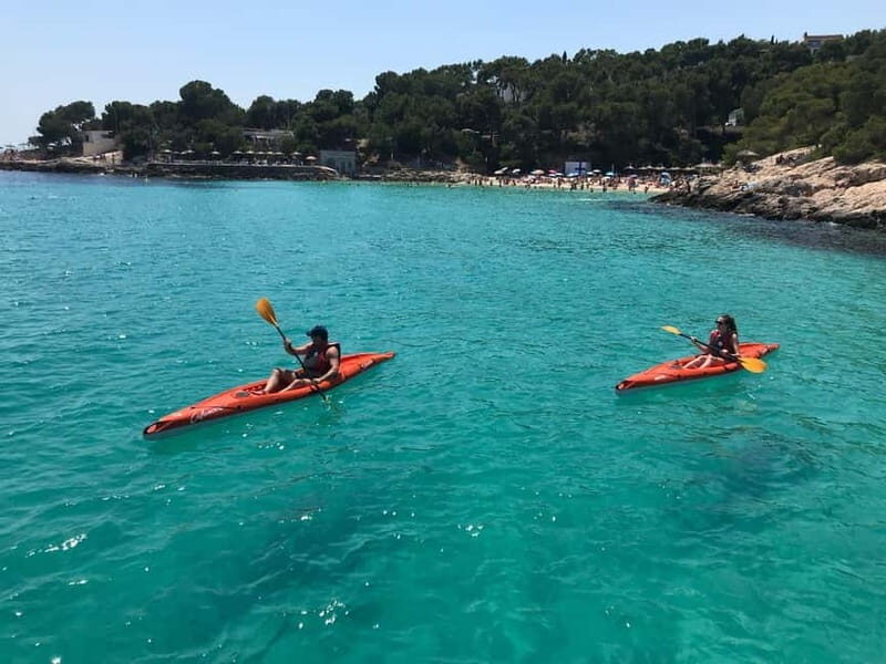 Kayak Excursion - Authentic and Enjoyable: Final Thoughts  