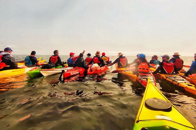 kayak-excursion-to-cova-dels-coloms-from-platja-mascarat