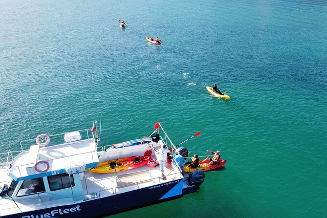 kayak-experience-in-ponta-da-piedade