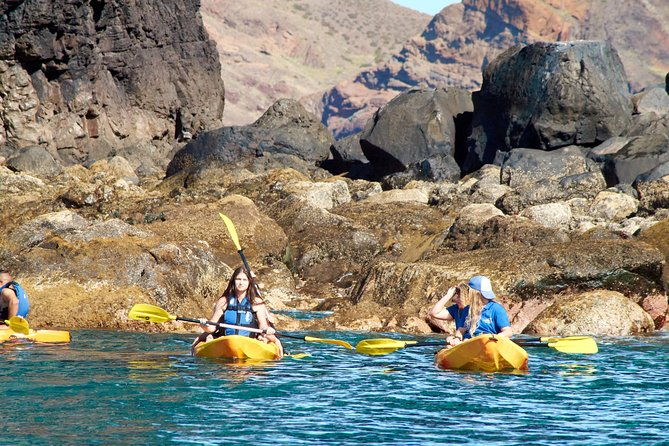 kayak-experience-ponta-de-sao-lourenco