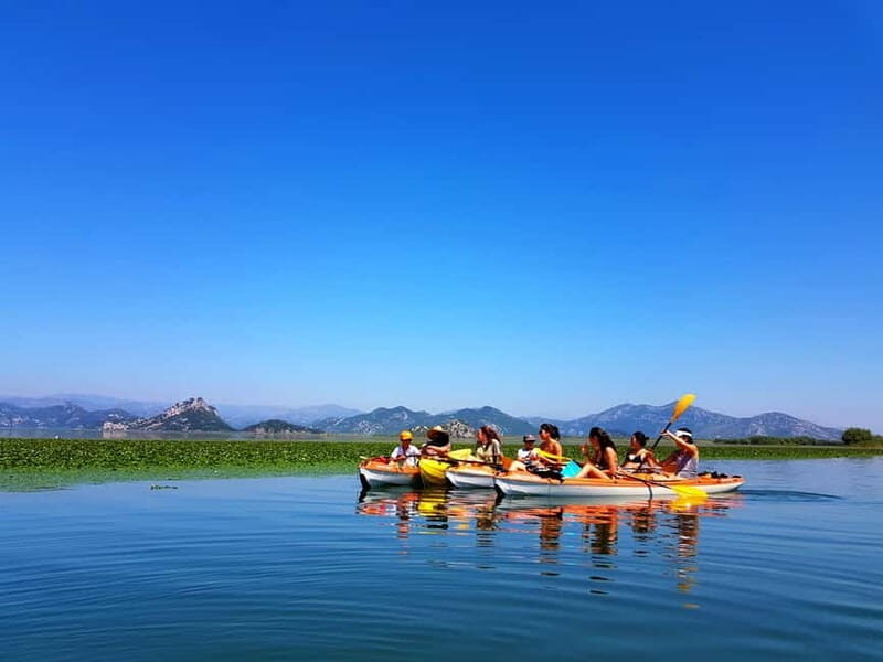 Kayak Guided Tour Skadar lake - Adventure in National park - An Overview of the Experience