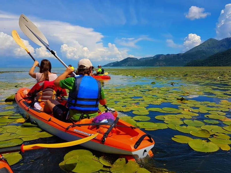 Kayak Guided Tour Skadar lake - Adventure in National park - Practical Details and Considerations