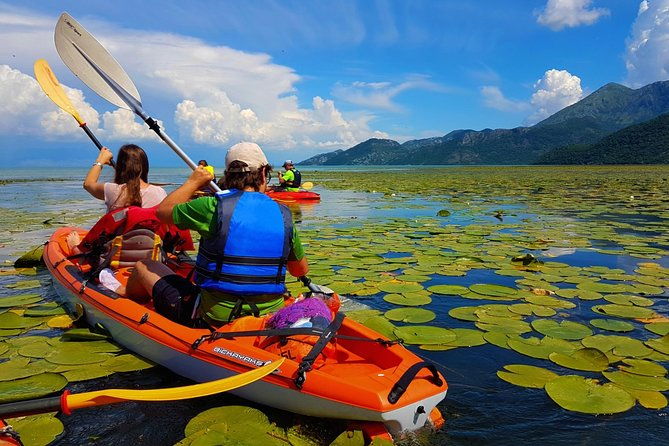 kayak-guided-tour-skadar-lake-adventure-in-national-park