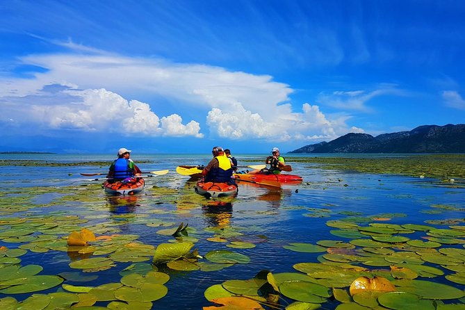 kayak-guided-tour-skadar-lake-adventure-in-national-park