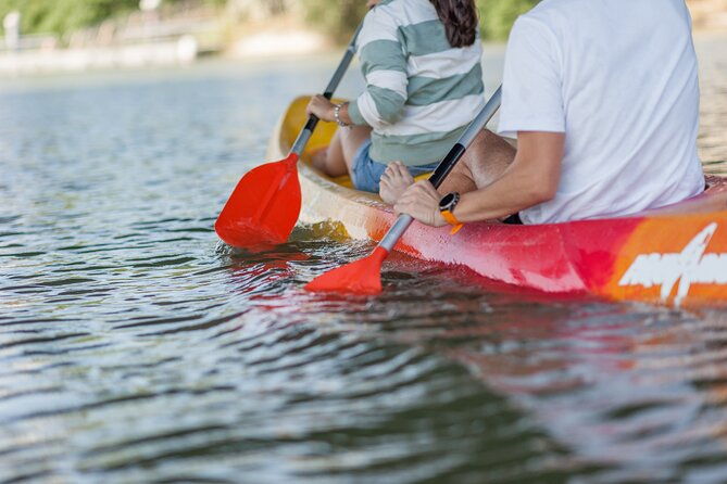 kayak-guided-tours