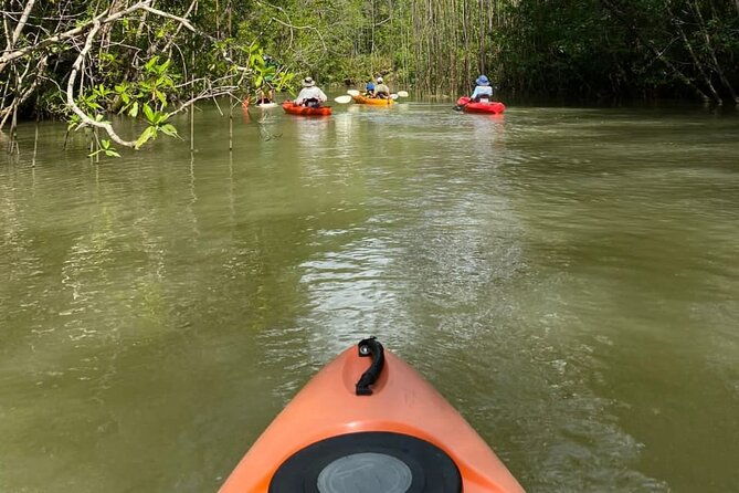 kayak-mangrove-tour-in-manuel-antonio