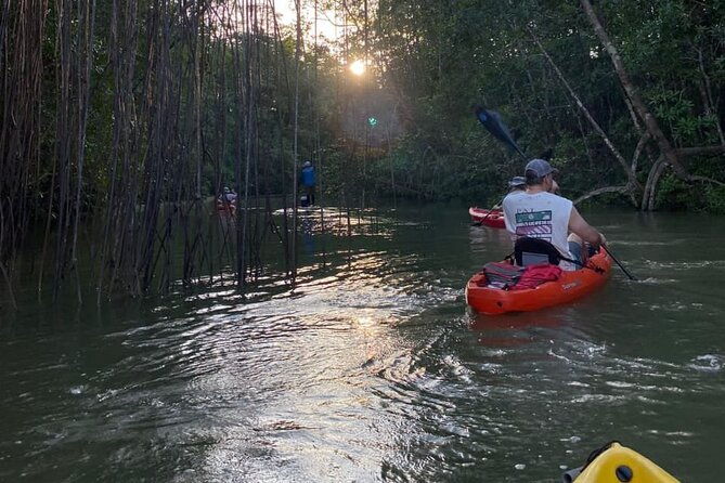 kayak-mangrove-tour-in-manuel-antonio